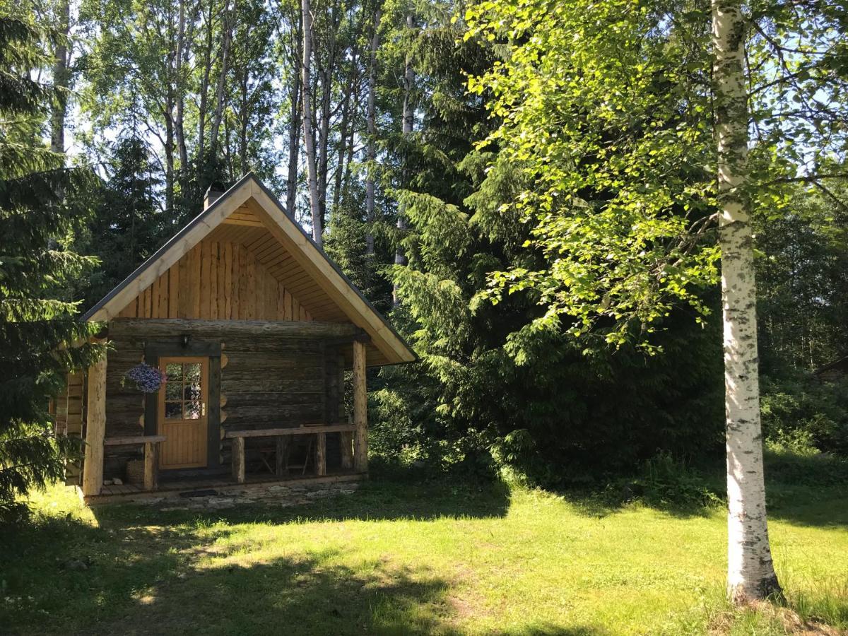 Haaviku Nature Cottage Tepelvalja Exterior photo