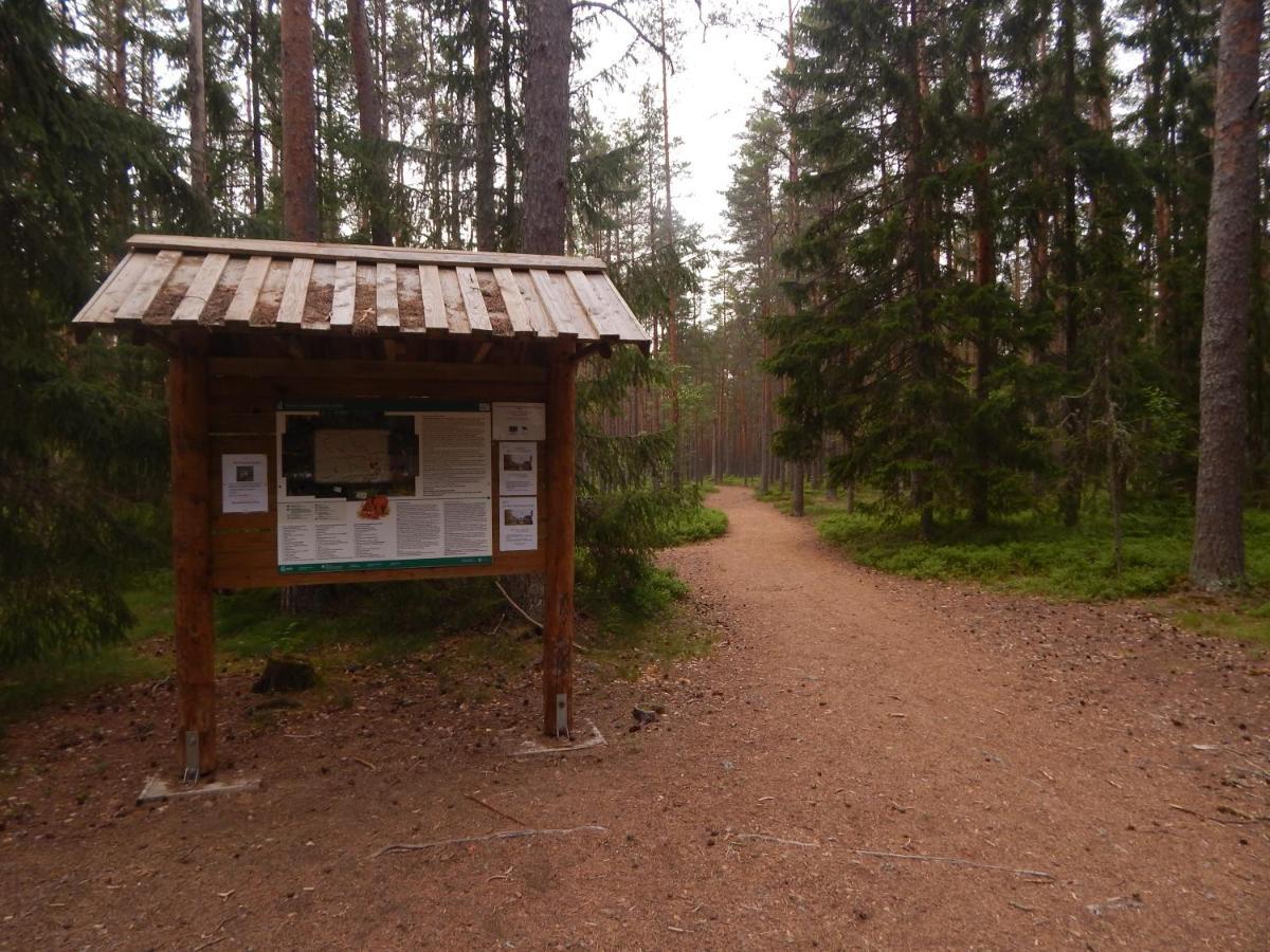 Haaviku Nature Cottage Tepelvalja Exterior photo