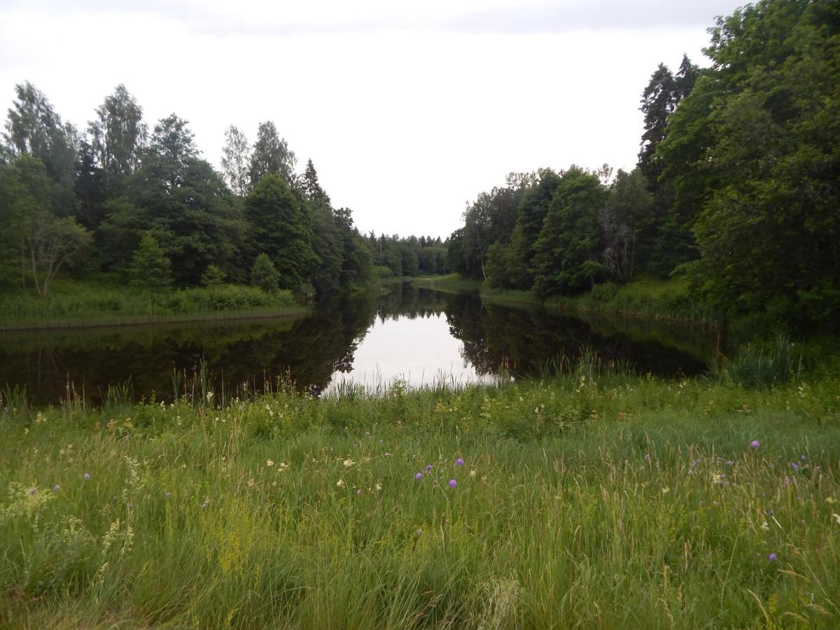 Haaviku Nature Cottage Tepelvalja Exterior photo